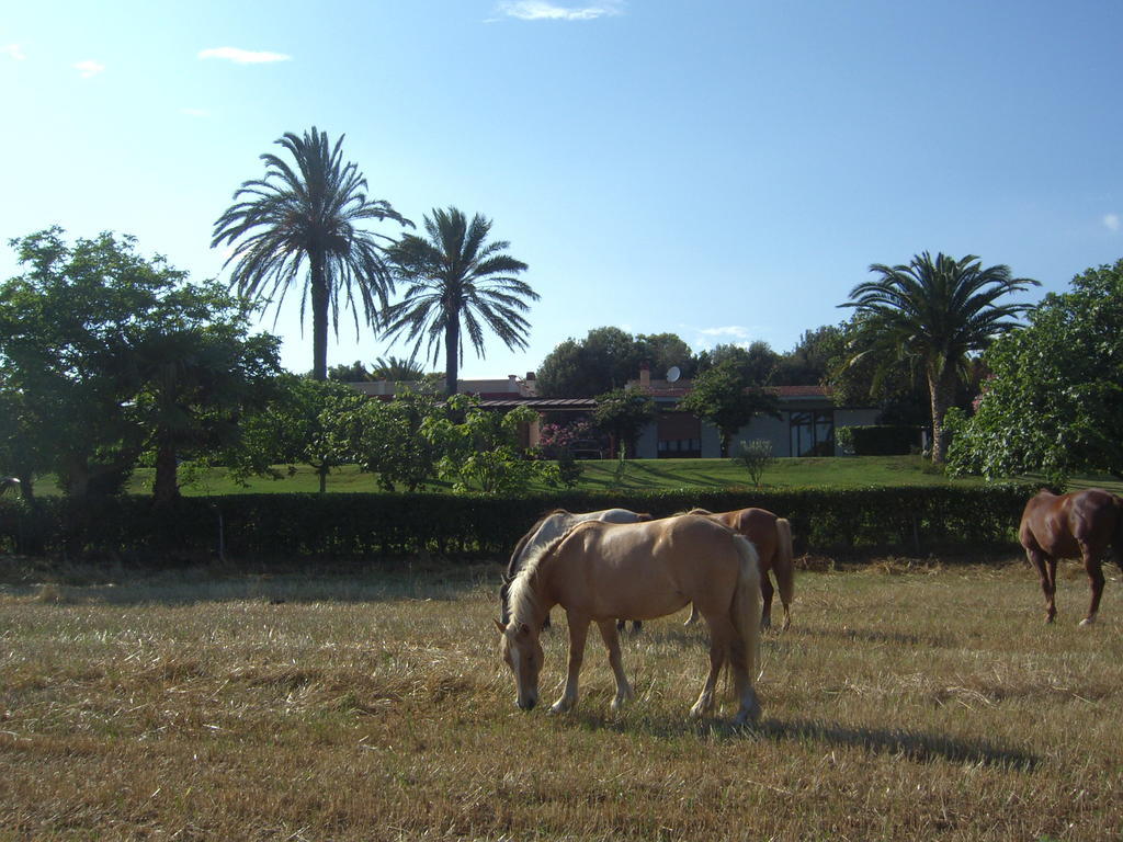 Santa Igia - Country House Panzió Elmas Kültér fotó